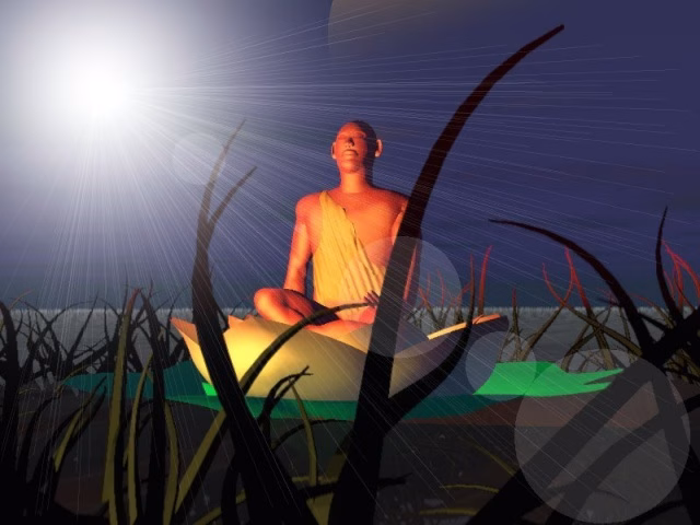 Shamanic Journey - Vision Quest