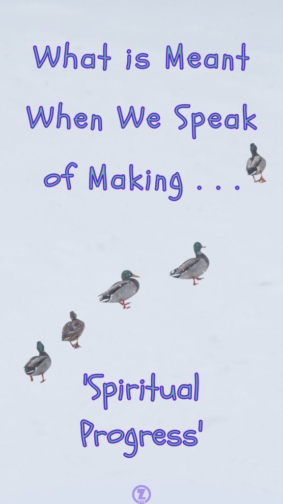 Row of ducks walking. Text reads: What is Meant When We Speak of Making...Spiritual Progress